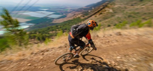 צילם: אילן שחם