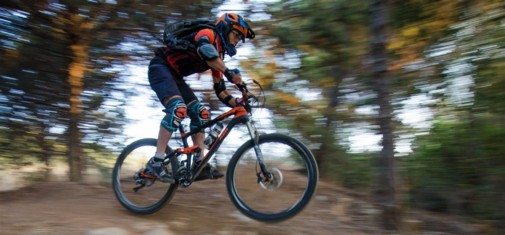 צילם: אילן שחם