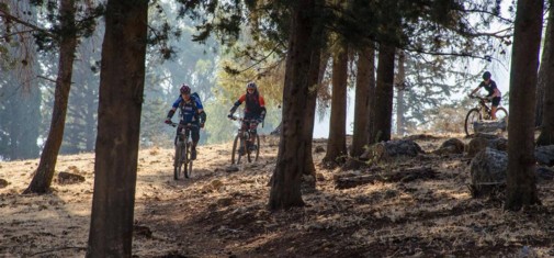 צילם: אילן שחם