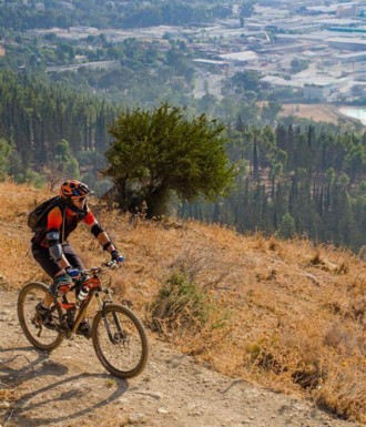 צילם: אילן שחם