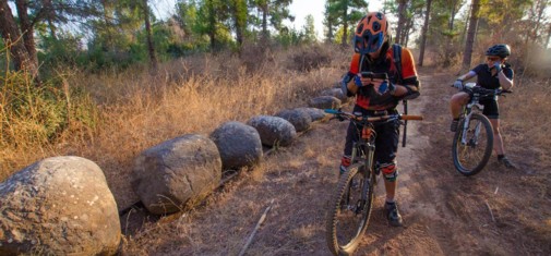 צילם: אילן שחם
