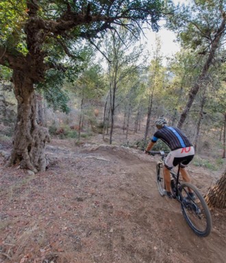 צילם: אילן שחם