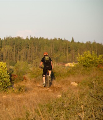 צילם: אילן שחם