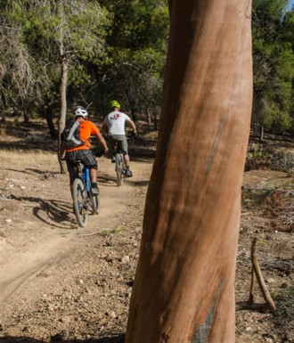 צילם: אילן שחם
