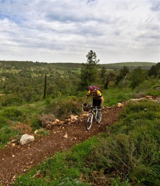 צילם: אילן שחם