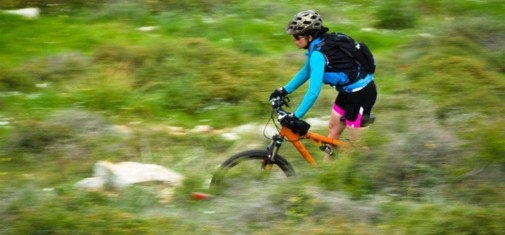 צילם: אילן שחם