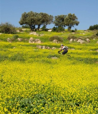 צילם: אילן שחם