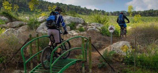 צילם: אילן שחם