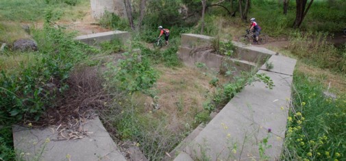 צילם: אילן שחם