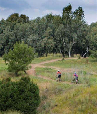 צילם: אילן שחם
