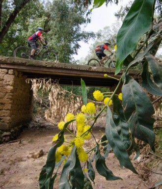 צילם: אילן שחם