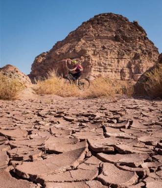 צילם: אילן שחם