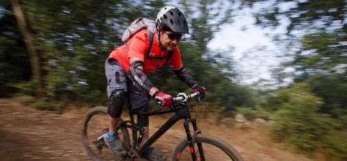 צילם: אילן שחם