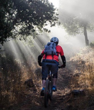 צילם: אילן שחם