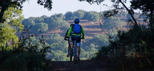 צילם: אילן שחם