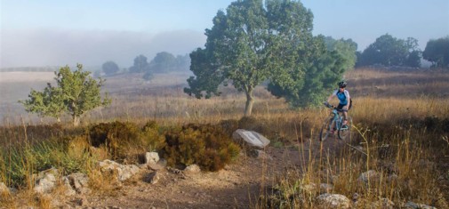 צילם: אילן שחם