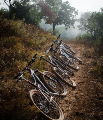 צילם: אילן שחם
