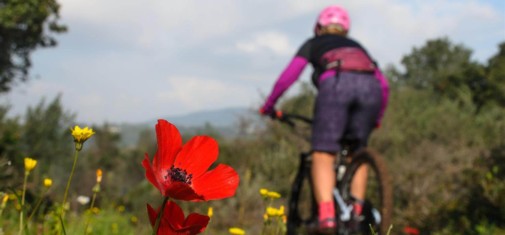 צילם: אילן שחם