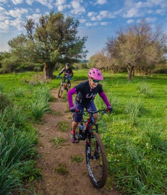 צילם: אילן שחם