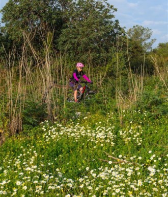 צילם: אילן שחם