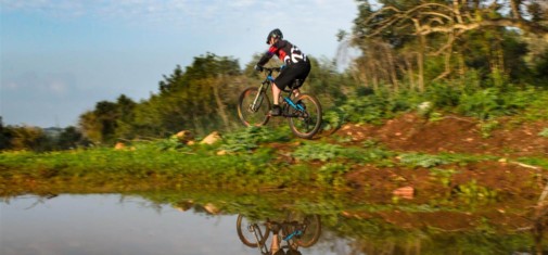 צילם: אילן שחם