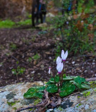 צילם: אילן שחם
