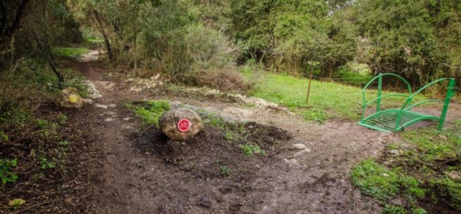צילם: אילן שחם