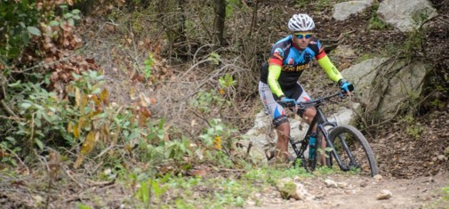 צילם: אילן שחם