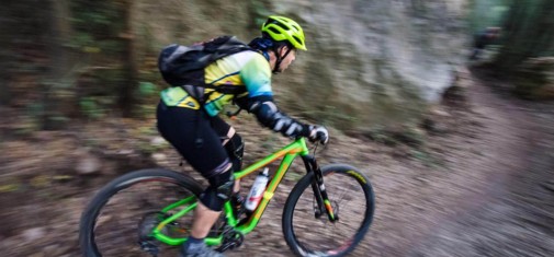 צילם: אילן שחם