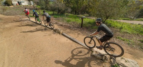 צילם: אילן שחם