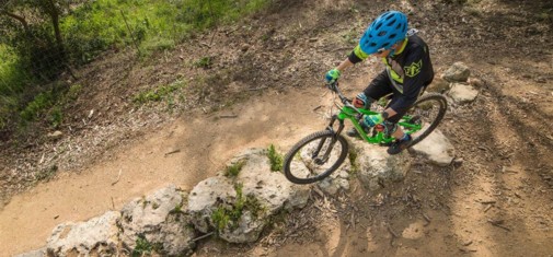 צילם: אילן שחם