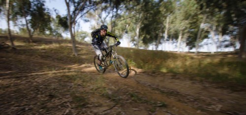 צילם: אילן שחם