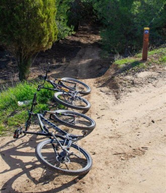 צילם: אילן שחם