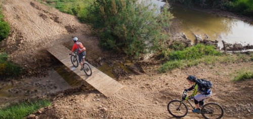 צילם: אילן שחם