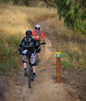 צילם: אילן שחם