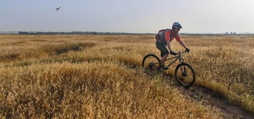 צילם: אילן שחם