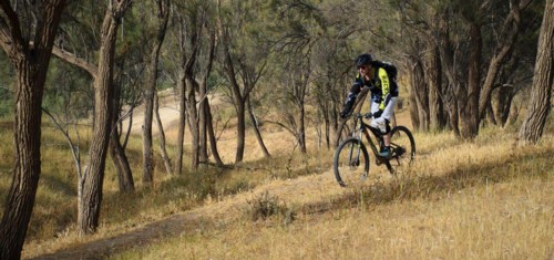 צילם: אילן שחם