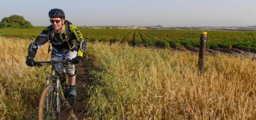 צילם: אילן שחם