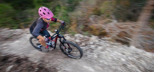 צילם: אילן שחם