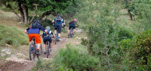 צילם: אילן שחם