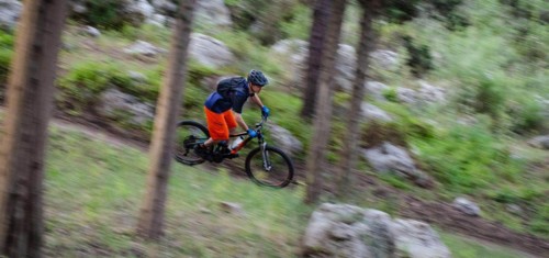 צילם: אילן שחם