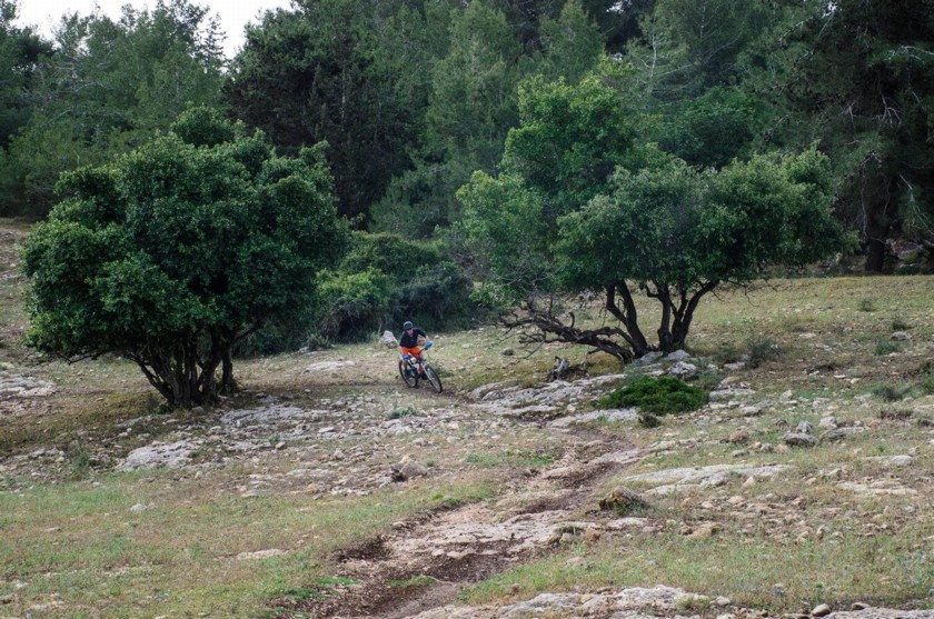 צילם: אילן שחם
