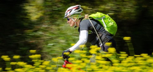 צילם: אילן שחם