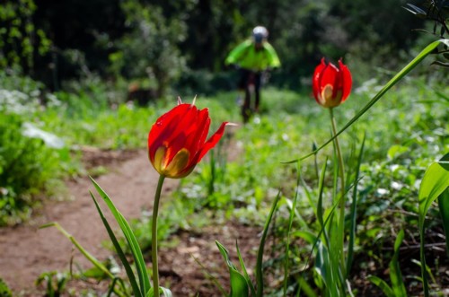 צילם: אילן שחם