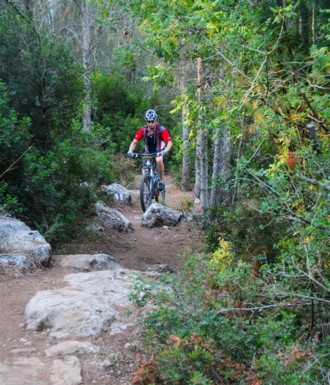 צילם: אילן שחם