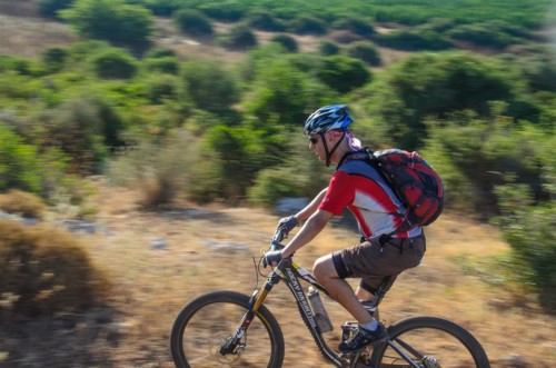צילם: אילן שחם