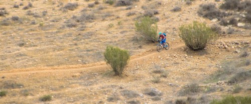 סינגל סובב מיתר. צילם: אילן שחם