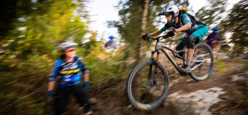 מסלולי אנדורו ביער שגב. צילם: אילן שחם