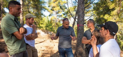 מסלולי אנדורו ביער שגב. צילם: אילן שחם