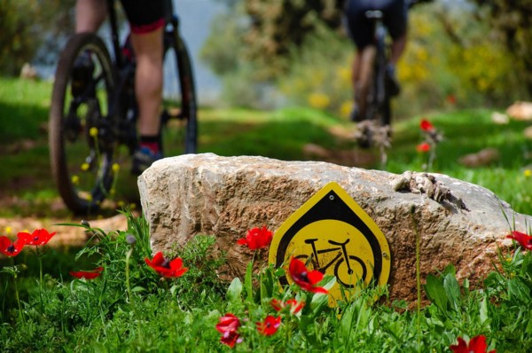 צילום: אילן שחם, ארכיון הצילומים של קק"ל